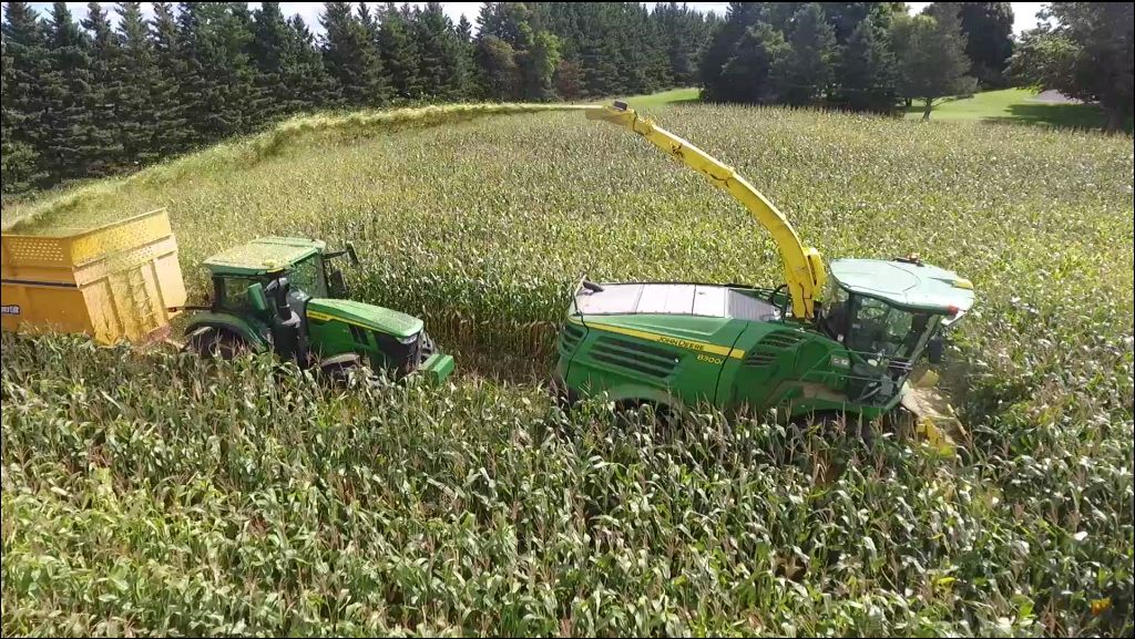 Corn Harvest 2022
