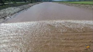 Tidal Bore